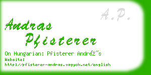 andras pfisterer business card